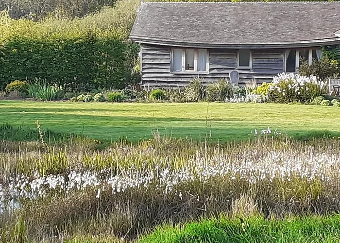 Three Oaks Nursery